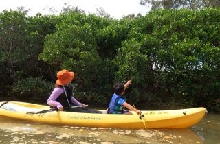 マングローブカヤック画像＿海遊倶楽部