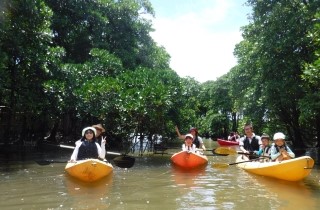 マングローブカヤック沖縄画像画像＿海遊倶楽部