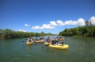 マングローブカヤック沖縄＿海遊倶楽部