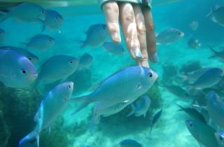 スケルトンカヤック画像＿海遊倶楽部